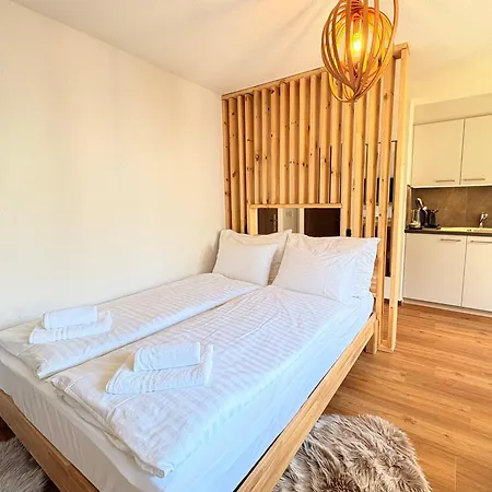 In Mit Parkplatz Apartman Interlaken